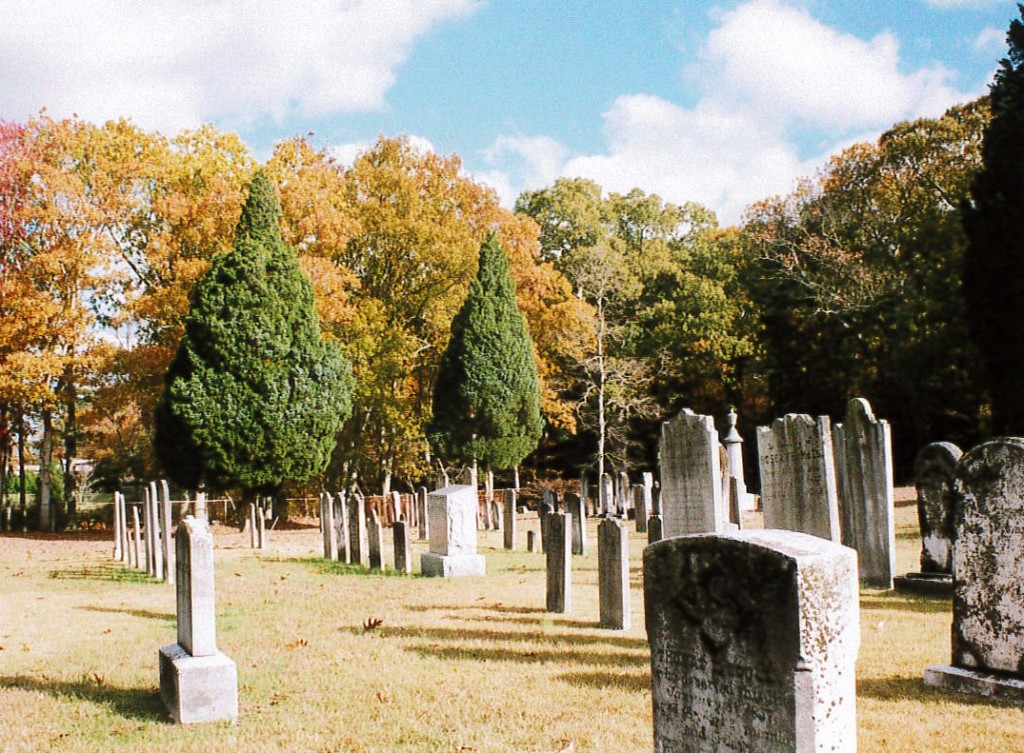 Graveyard in Fall Cedars
